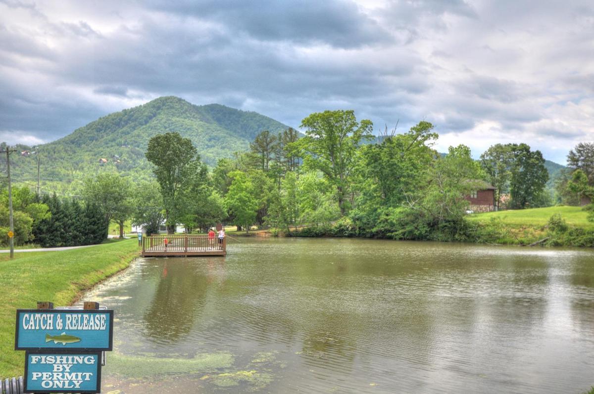 Bears Valley Inn - Great Location! - Peaceful, Children And Dog Friendly Retreat - Less Than 15 Min To All Attractions - Private Pool Club & Fishing Hole - Game Room With Tv Sevierville Extérieur photo
